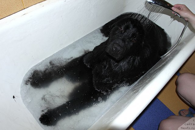 Фотография № 95302