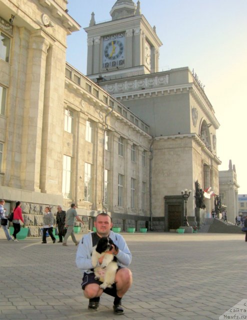 Фото: ньюфаундленд Питерньюф Хубба-Бубба, Владимир Слепченко