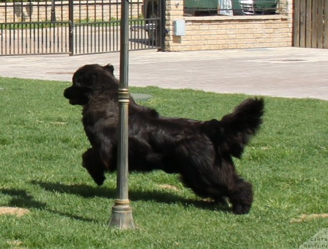 Фотография № 95308