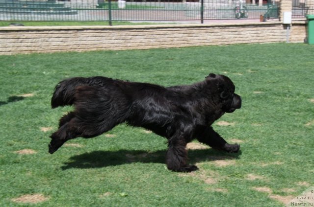 Фотография № 95309