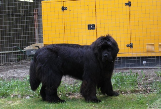 Фотография № 95310