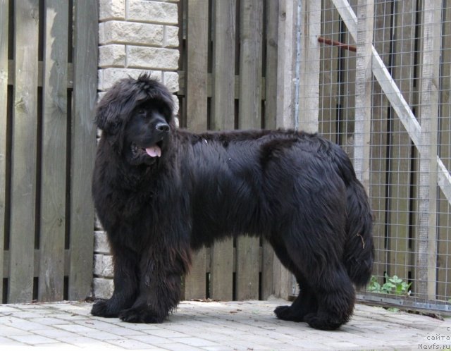 Фотография № 95311