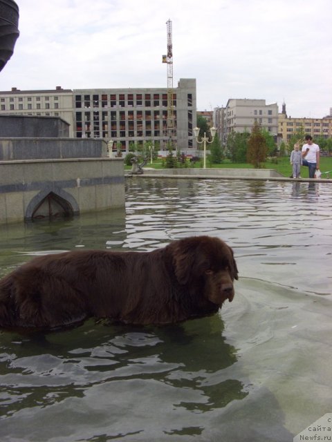 Фотография № 95324