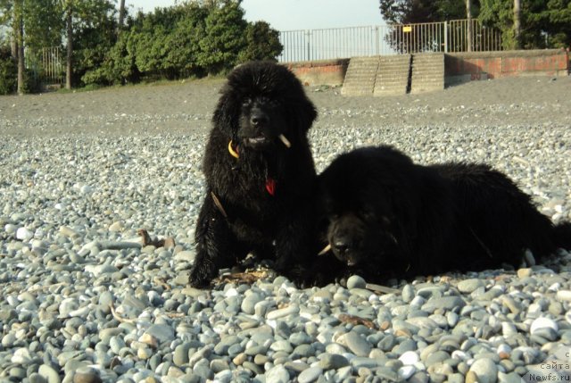 Фото: Елена Гриценко