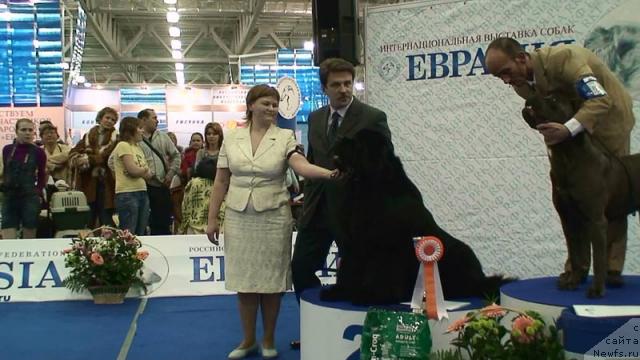 Фотография № 9535