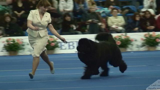 Фотография № 9536