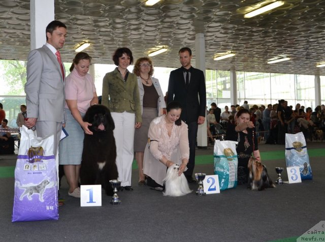 Фотография № 95361