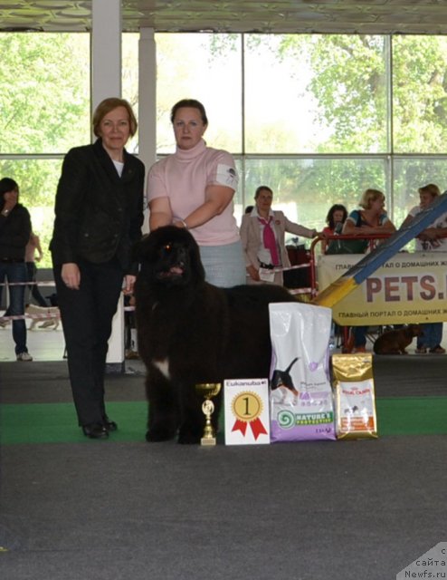 Фото: Like Father Like Son Midnight Bear