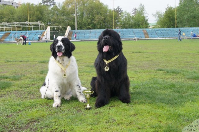 Фотография № 95366