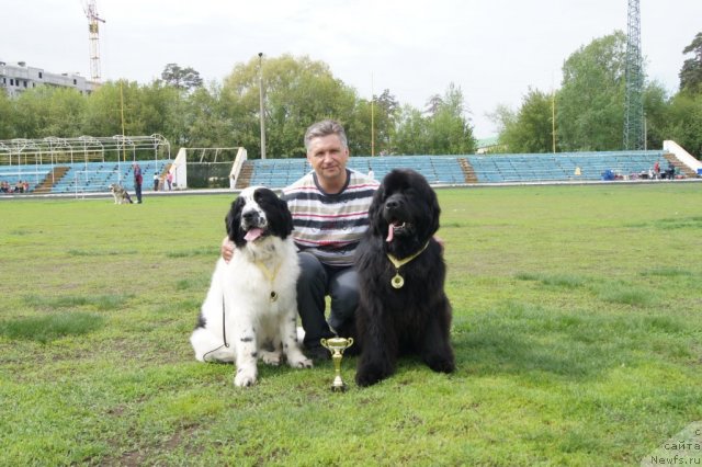 Фотография № 95368