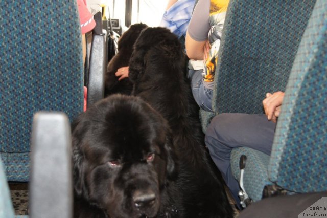 Фотография № 95370