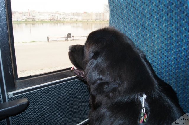 Фотография № 95371