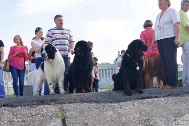 Фотография № 95375