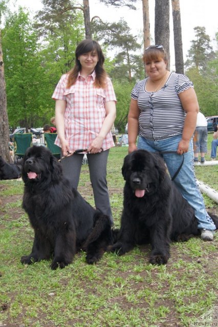 Фотография № 95376