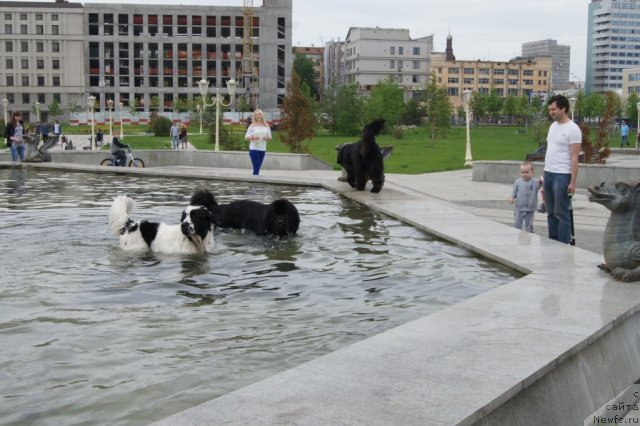 Фотография № 95377