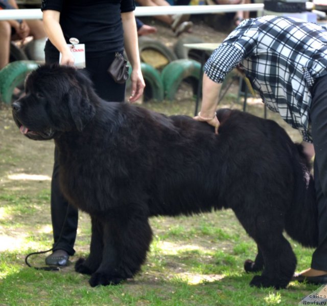 Фотография № 95440