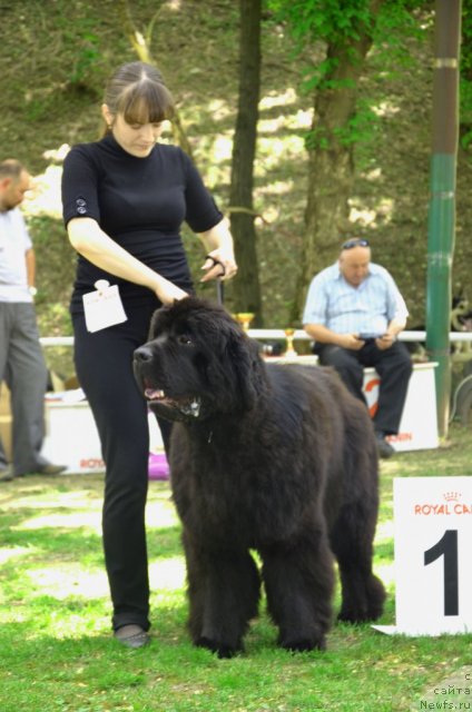 Фотография № 95445