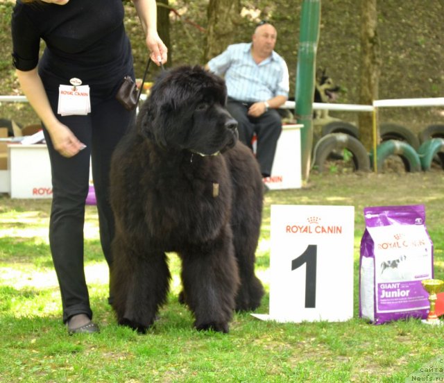 Фотография № 95448