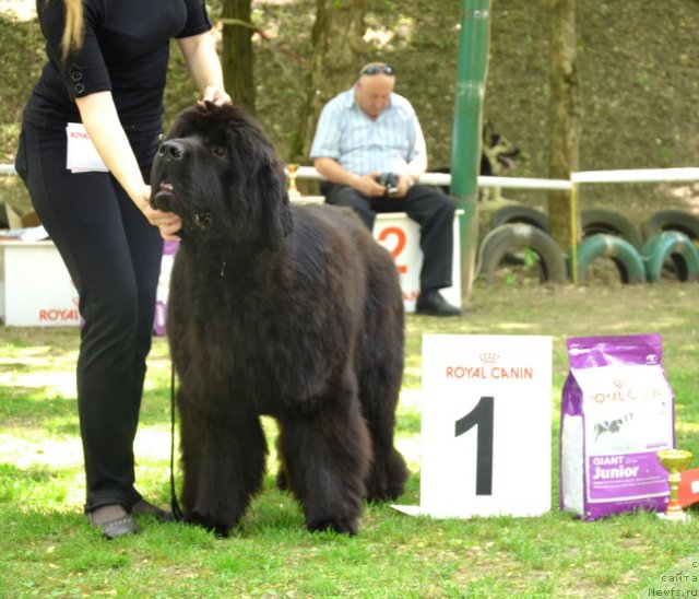 Фотография № 95450