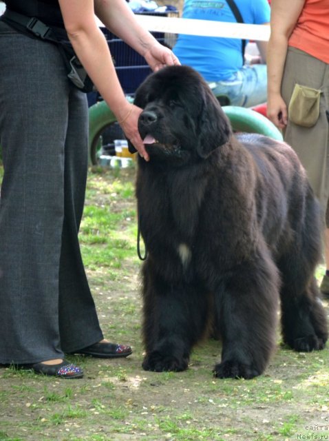 Фотография № 95455