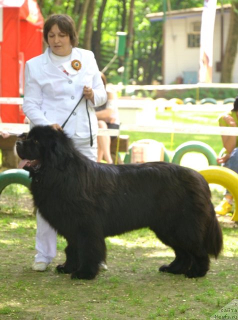 Фотография № 95459