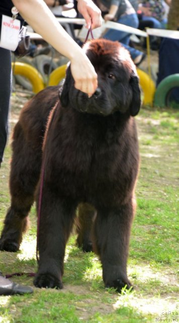 Фотография № 95468