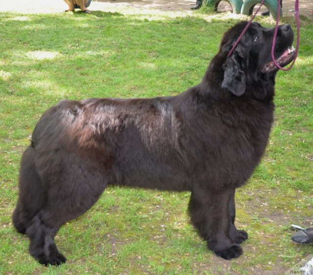 Фотография № 95562