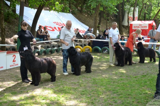 Фотография № 95563