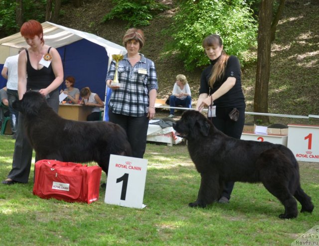 Фотография № 95564