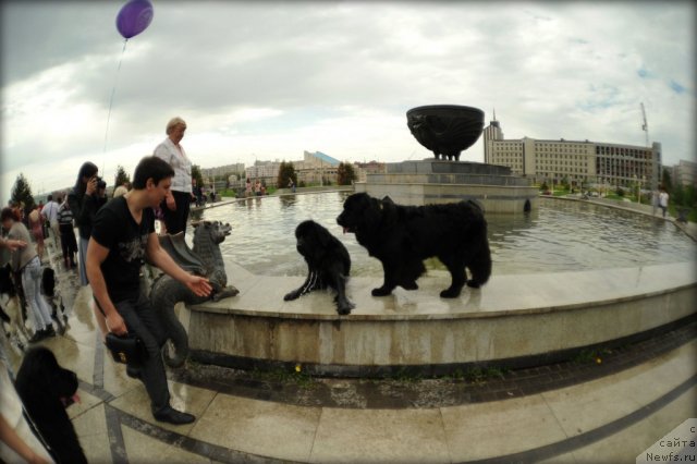 Фотография № 95565