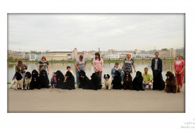 Фотография № 95570