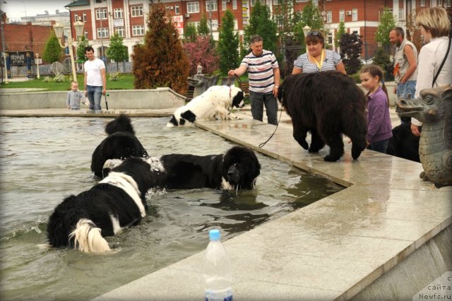 Фотография № 95575