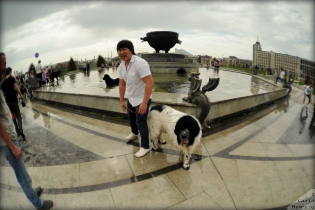 Фотография № 95577