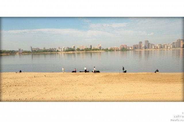 Фотография № 95579