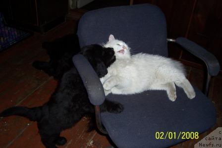 Фотография № 9558