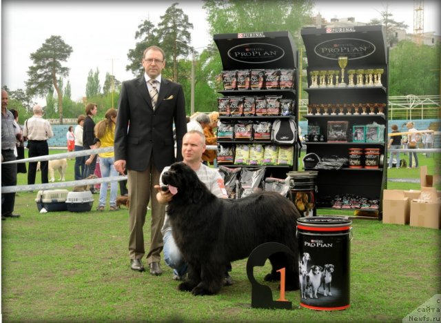 Фотография № 95582