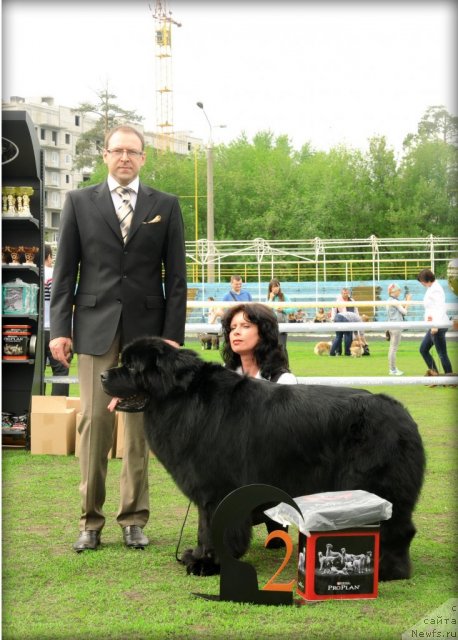 Фотография № 95583