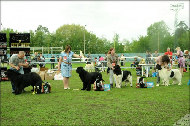 Фотография № 95586