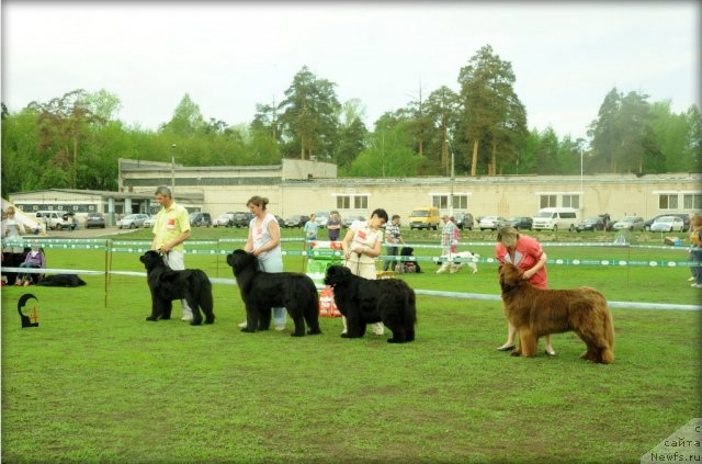 Фотография № 95587