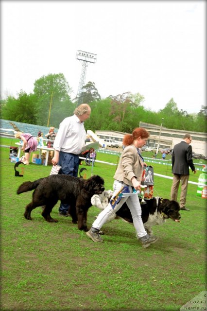 Фотография № 95592