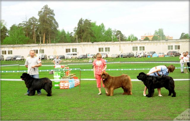 Фотография № 95593