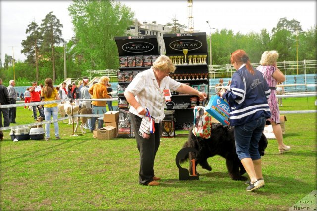 Фотография № 95594