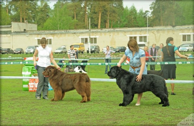 Фотография № 95600