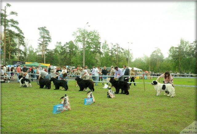 Фотография № 95605