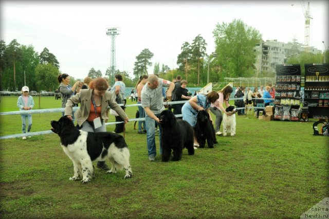 Фотография № 95607