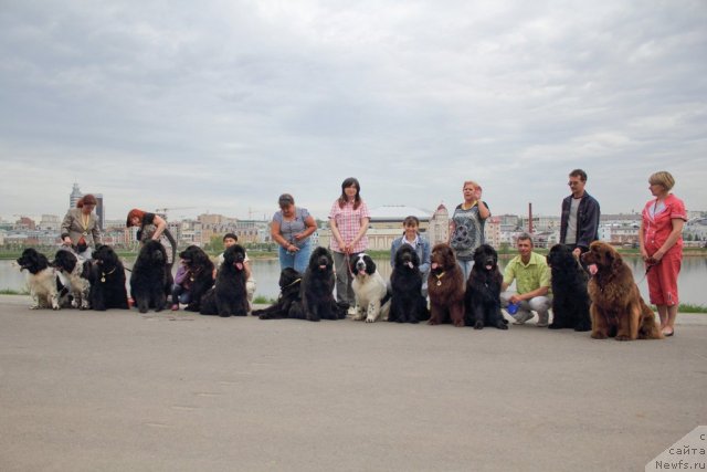 Фото: ньюфаундленд Threeponds Sunny Flower for Sent Djons, ньюфаундленд Сент Джонс Пеппи Длинный Чулок (Sent Djons Peppi Dlinny Chulok), Светлана Шувалова, Галия Гизатуллина, ньюфаундленд Барышня, ньюфаундленд Сент Джонс Ульрика (Sent Djons Ulrika), ньюфаундленд Кипер Соул Есаул (Keeper Soul Esaul), Фарида Сирязева, ньюфаундленд Сент Джонс Царевна Лебедь (Sent Djons Carevna Lebed), Наталья Борисова, ньюфаундленд Императорский Каприз Икария, Дарья Гусынина, ньюфаундленд Лесная Сказка Королевский Медведь (Lesnaja Skazka Korolevskiy Medved), ньюфаундленд Юнона, Андрей Кошкидько, ньюфаундленд Августин Пермский Медведь, ньюфаундленд Бархатка Роскошная, Светлана Пермякова