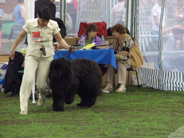 Фотография № 95646