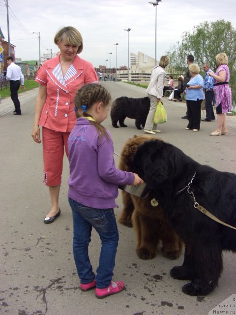 Фотография № 95651