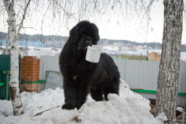 Фотография № 9570