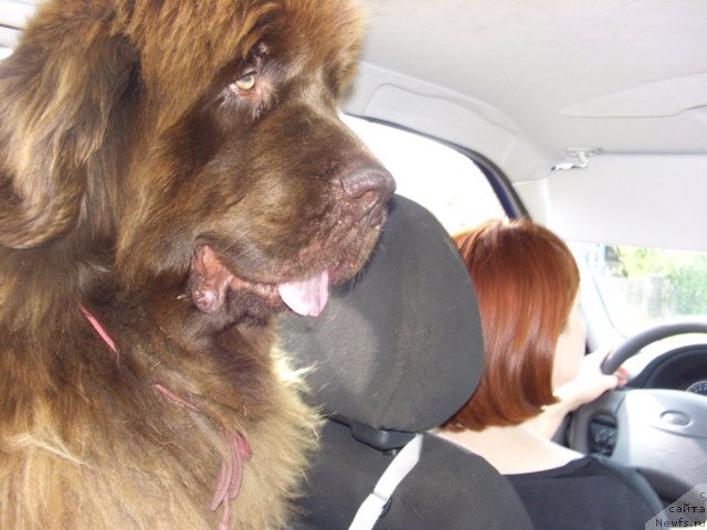 Фотография № 95739